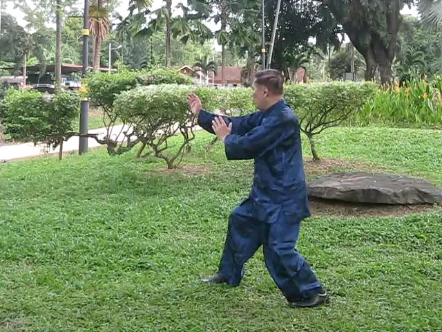 Wu Yu Xiang Style Taijiquan